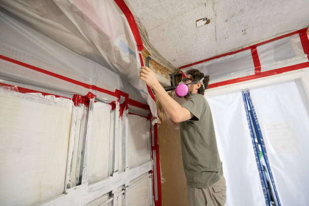 Best Mold Damage Restoration  in Wakefield, NE