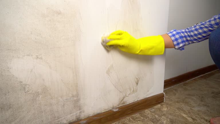 Best Indoor Air Quality Assessment  in Wakefield, NE