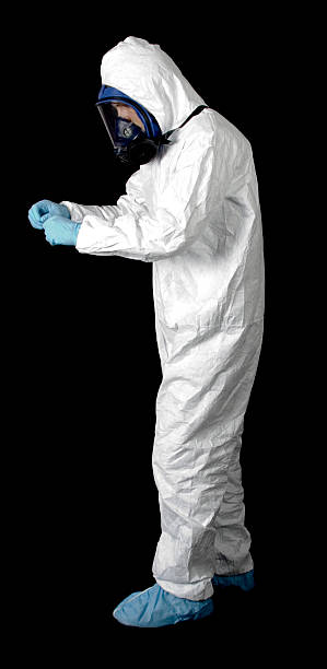 Reliable Wakefield, NE Mold Removal Solutions