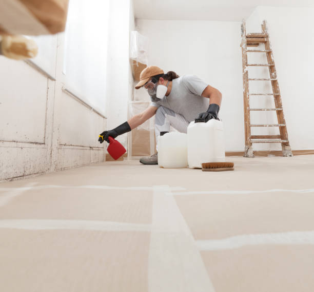 Environmental Consulting for Mold Prevention in Wakefield, NE